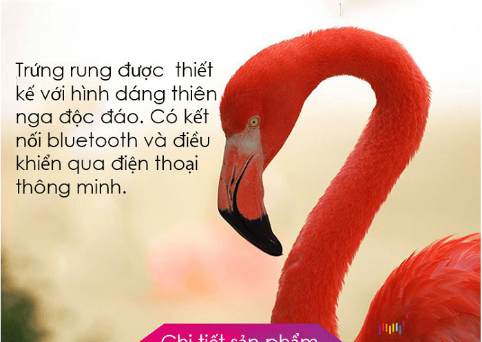 Hình ảnh cho Trứng rung kích dục nữ thiên nga Magic Hình ảnh cho Trứng rung kích dục nữ thiên nga Magic